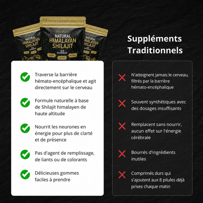 Gummies de Shilajit VitaPure® Pour la Clarté Mentale