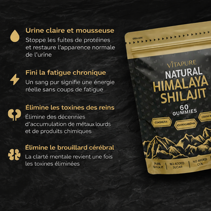 Gummies de Shilajit VitaPure® Pour Le Soutien Des Reins