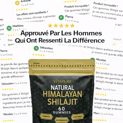 Gummies de Shilajit VitaPure® Pour la Clarté Mentale